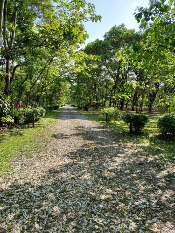 花蓮金澤居民宿樹窩民宿御安居民宿寵物友善 จี๋อัน ภายนอก รูปภาพ