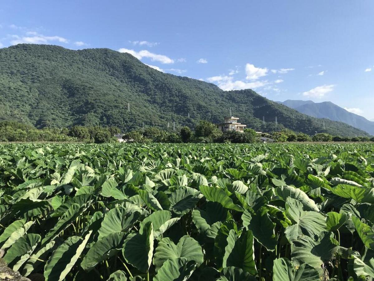 花蓮金澤居民宿樹窩民宿御安居民宿寵物友善 จี๋อัน ภายนอก รูปภาพ